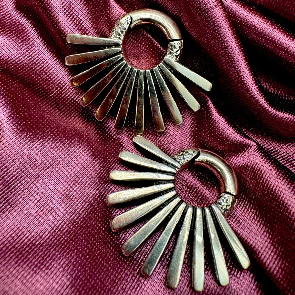 Steel ear weights 4g clickers
